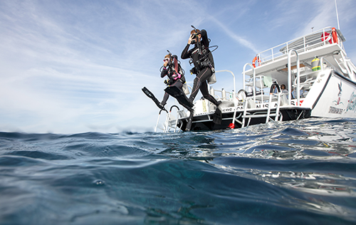 Boat Diver