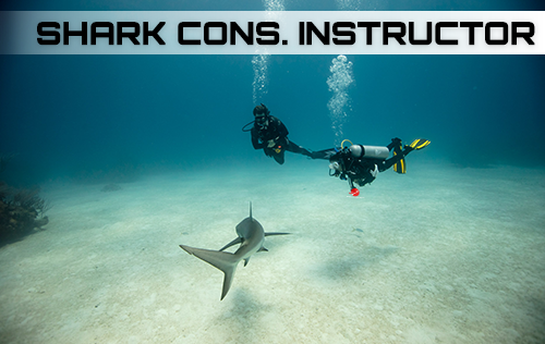 Shark Conservation Instructor