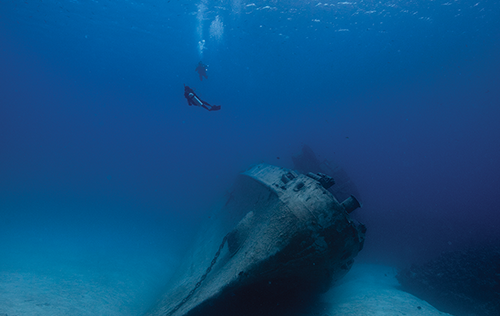 Wreck Diver