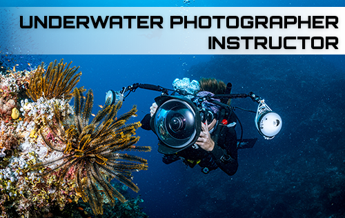 Digital Underwater Photographer Instructor