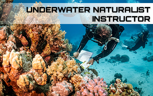 Underwater Naturalist Instructor