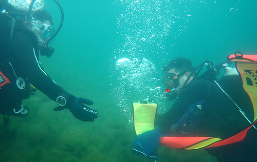 Delayed Surface Marker Buoy Diver