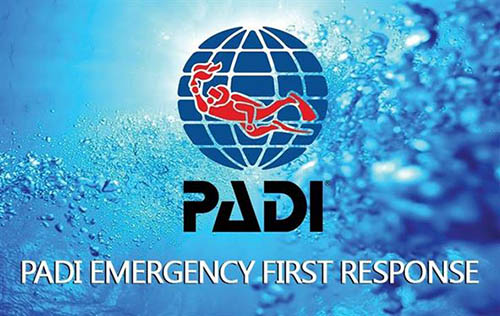 Emergency First Response First Aid/CPR