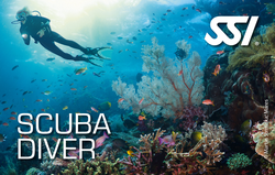 SSI Open Water Certification Dives- REFERRAL FINSH OCEAN DIVES