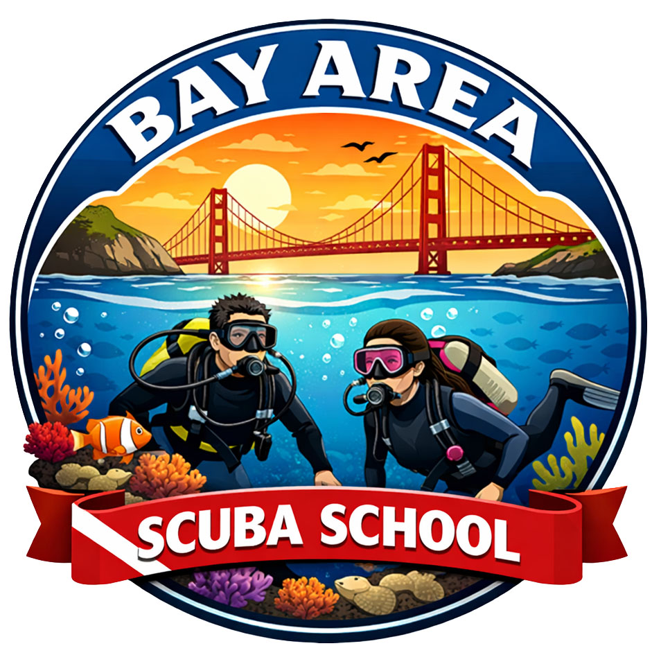 Bay Area Scuba School