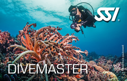 SSI Divemaster Training Internship