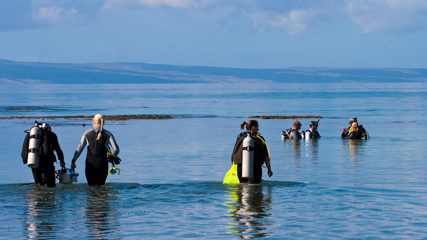 IDC Staff Instructor