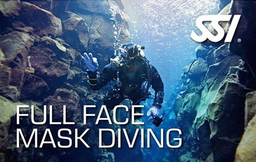 Full Face Mask