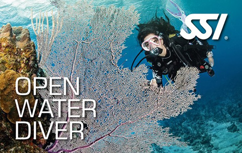 Open Water Scuba Diver