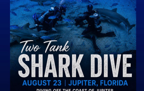 2Tank Shark Dive