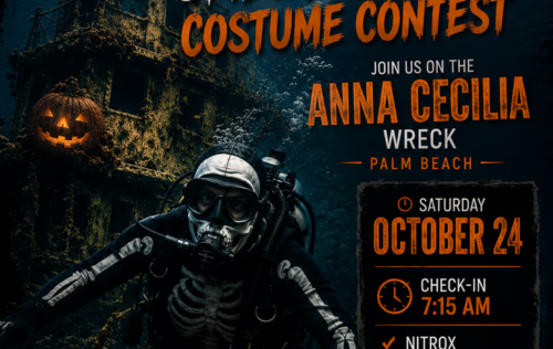 Halloween Dive