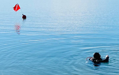 NAUI Open Water