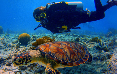 Adventure Diving