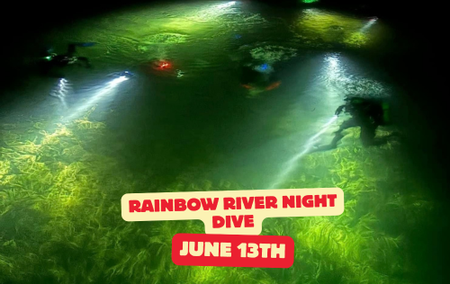 Rainbow River Night Dive - June 13th