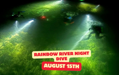 Rainbow River Night Dive - August 15th