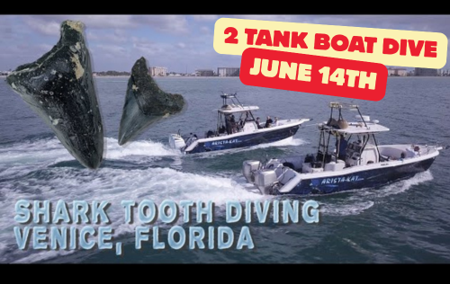 Venice 2-Tank Shark Tooth Dive- June 14th