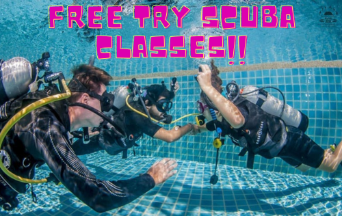 FREE Try SCUBA Classes!!!