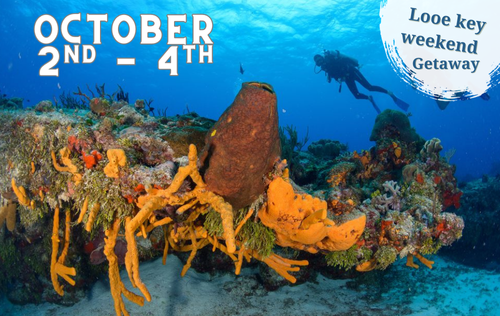 Looe Key Resort Weekend Getaway - October 2nd-4th