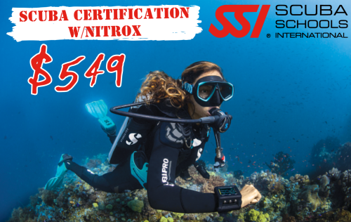 Open Water + Nitrox Bundle