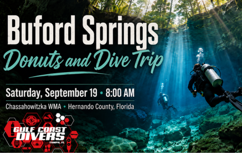 Buford Springs Donuts & Dive Day - September 19th