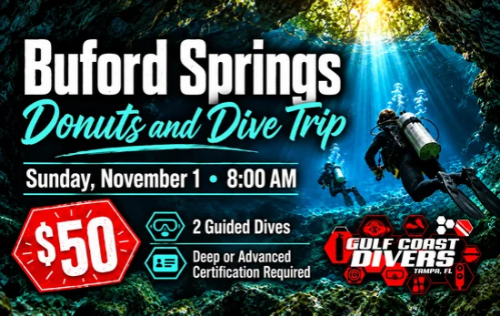 Buford Springs Donuts & Dive Day - November 1st
