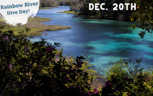 Rainbow River Dive Day - December 20th, 2025