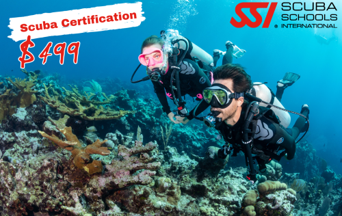Open Water Scuba Certification