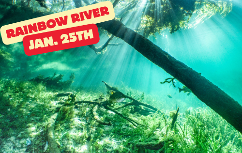 Rainbow River Dive Day - Jan 25th, 2026