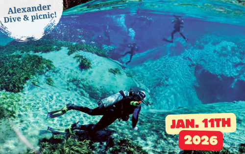 Alexander Springs Dive & Picnic - Jan. 11th