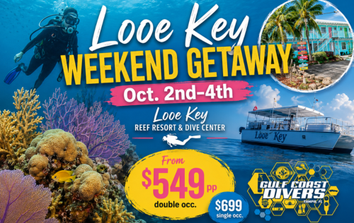 Looe Key Resort Weekend Getaway - October 2nd-4th