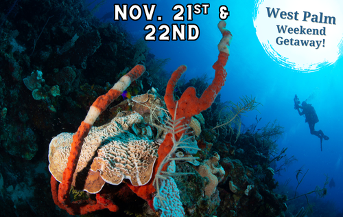 West Palm Drift Dive Weekend - November 21st & 22nd
