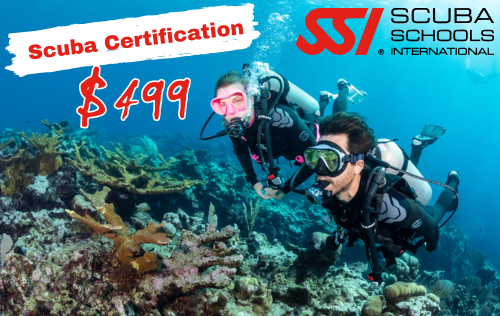 Open Water Open Water