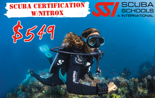 Open Water + Nitrox Bundle