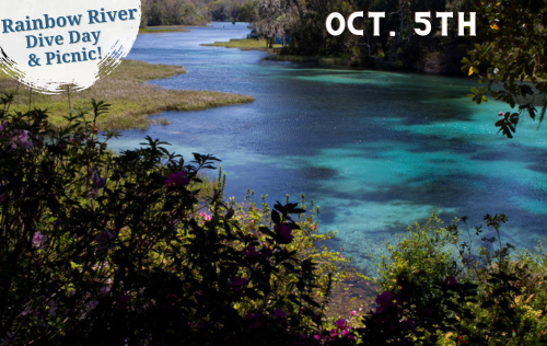 Rainbow River Dive Day & Picnic - October 5th