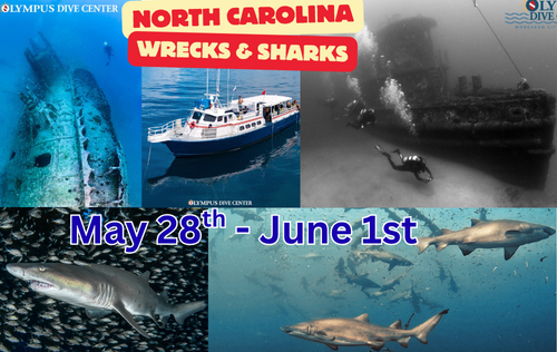 North Carolina Wreck & Sand Tiger Shark Weekend Getaway - May 28th-June 1st