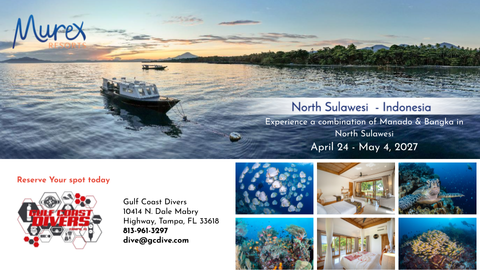 10 Day North Sulawesi Indonesia Getaway - April 24th-May 4th, 2027