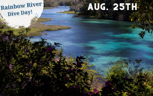 Rainbow River Dive Day - Tuesday August 25th